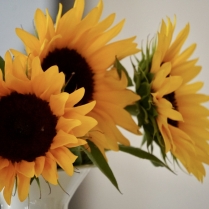 Sonnenblumen