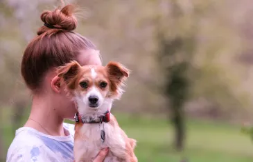 Doggy Power for Girls